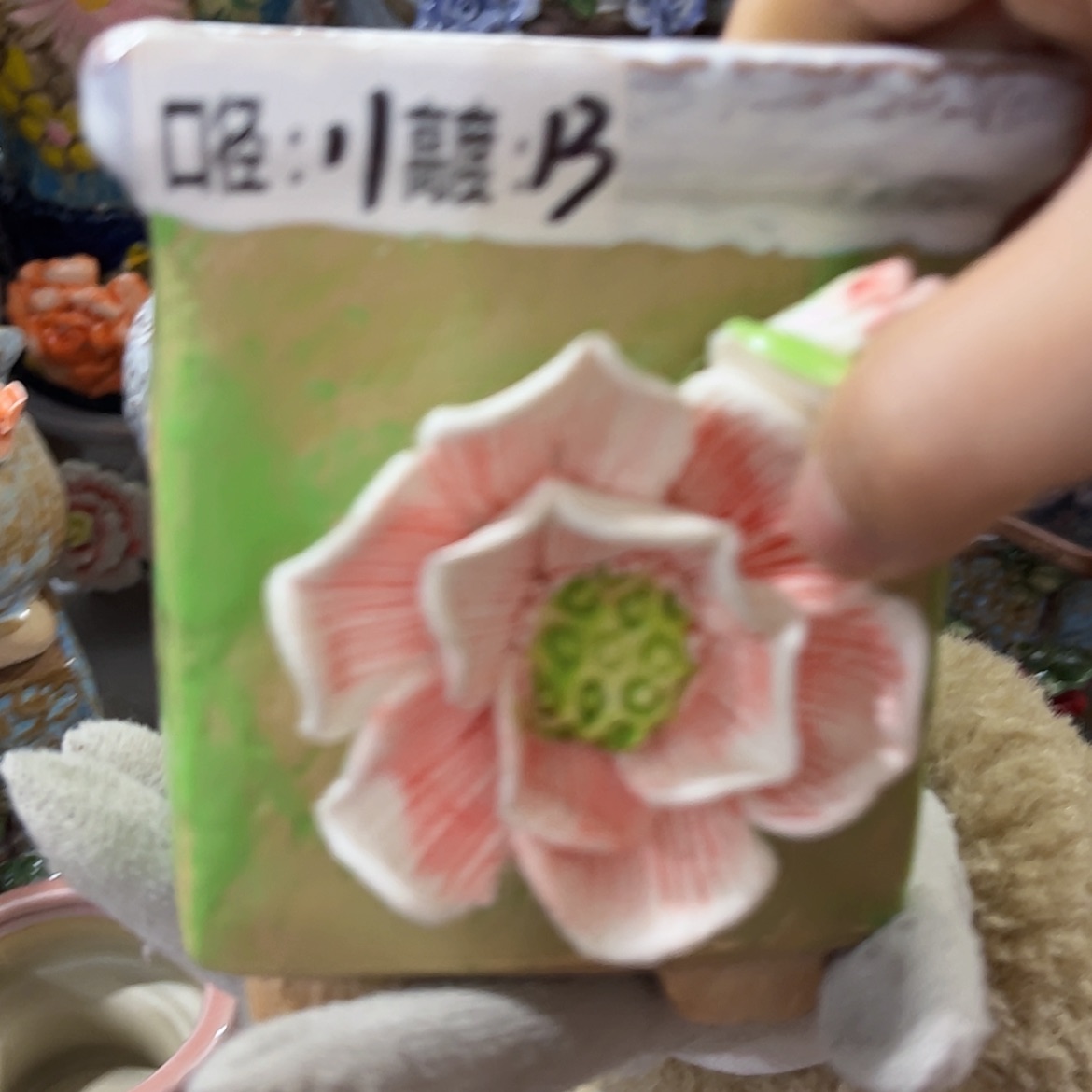 【闪购商品】红陶福利