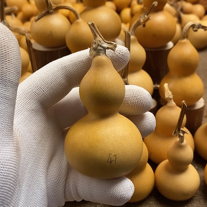 文玩葫芦 完美主义者 慎拍47