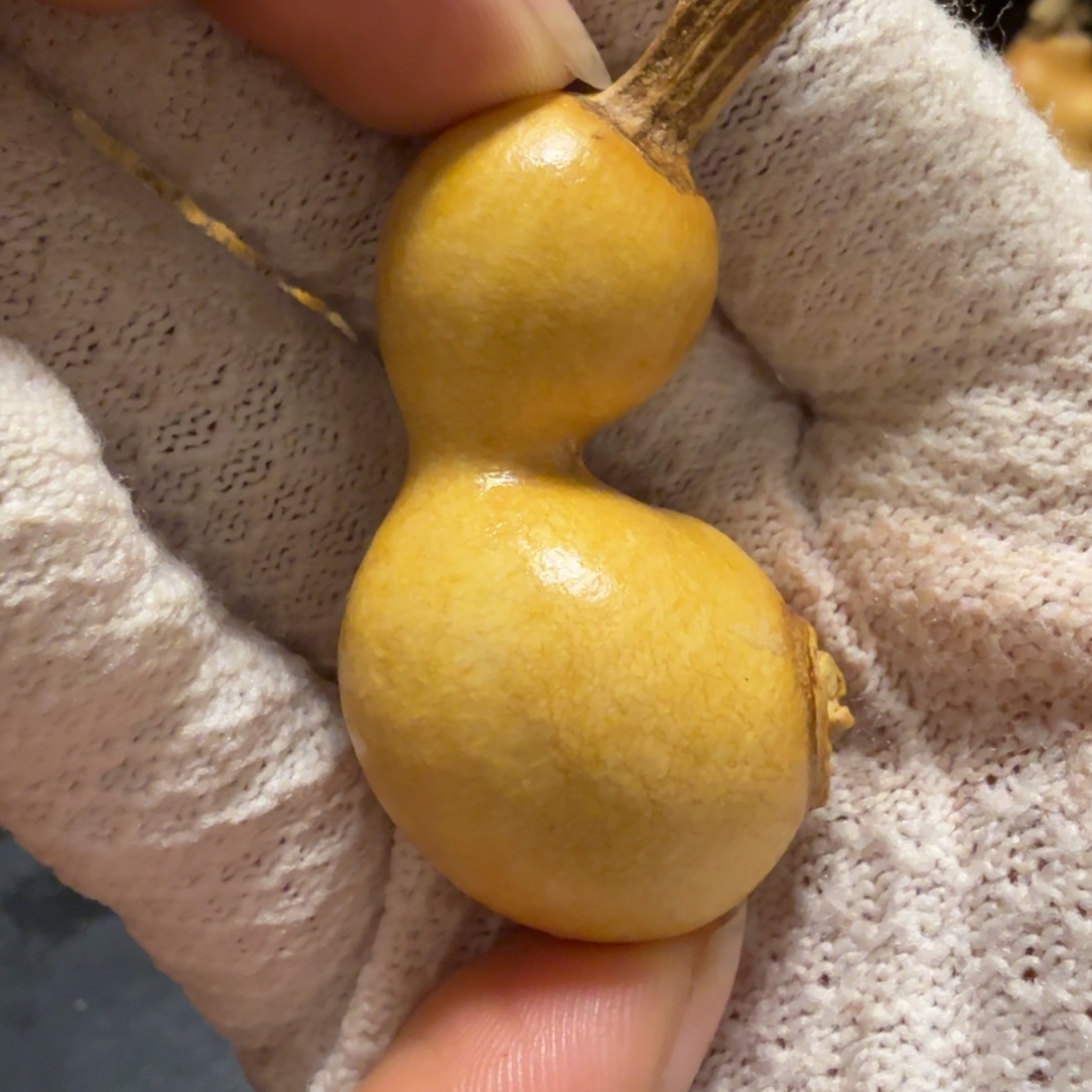 小***46…………………………………………