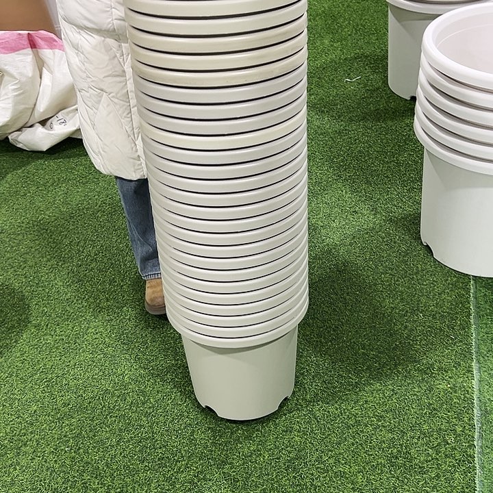 微瑕四季6号口32高28米色无托7只