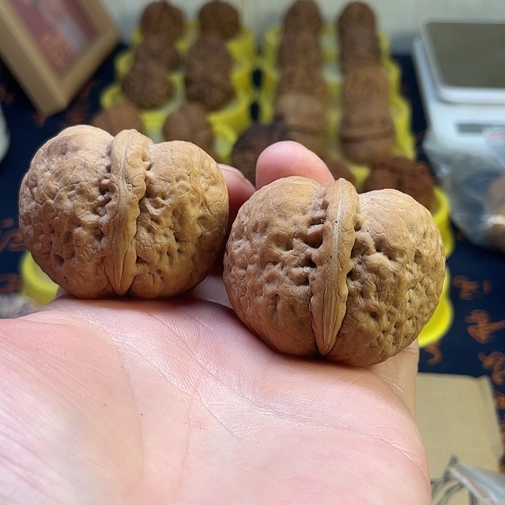 文玩核桃把件17炸二粗钱罐47