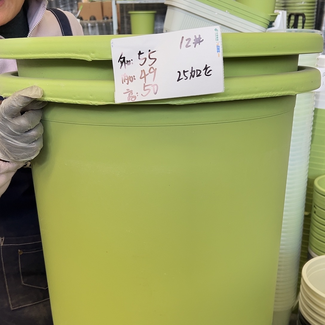 瑕疵四季盆12#果绿色2个无托