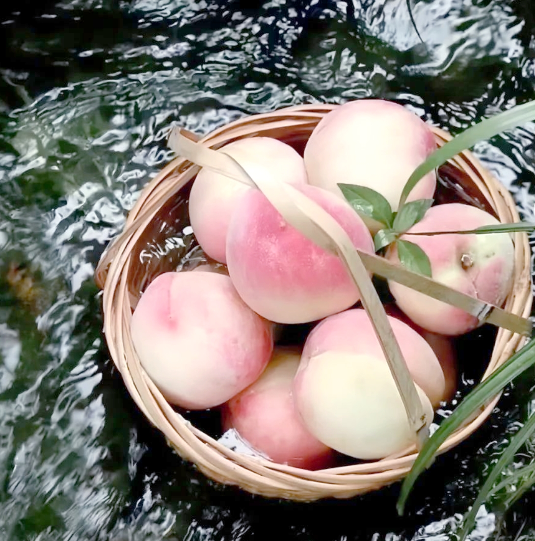 【12只试吃】正宗胡陈水蜜桃新鲜现摘软桃子宁波特产桃子