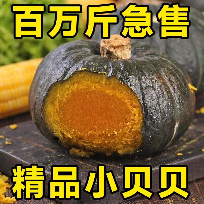 贝贝南瓜新鲜南瓜粉糯香甜宝宝辅食板栗味正品新鲜小南瓜甜糯正宗