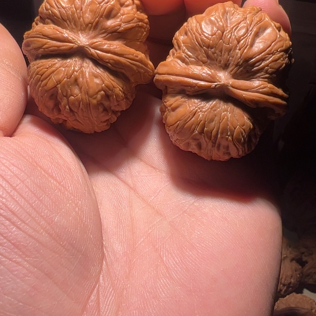 明***月把件文玩核桃42尺翘肩元宝