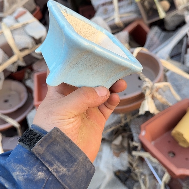 在干嘛的我还以为自己没看完这篇论文