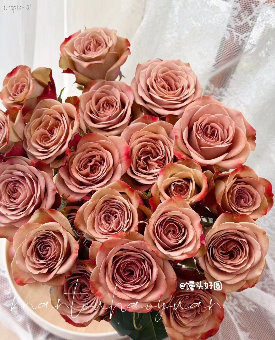 【卡布奇诺】玫瑰  同一地址任意两单加配草一扎