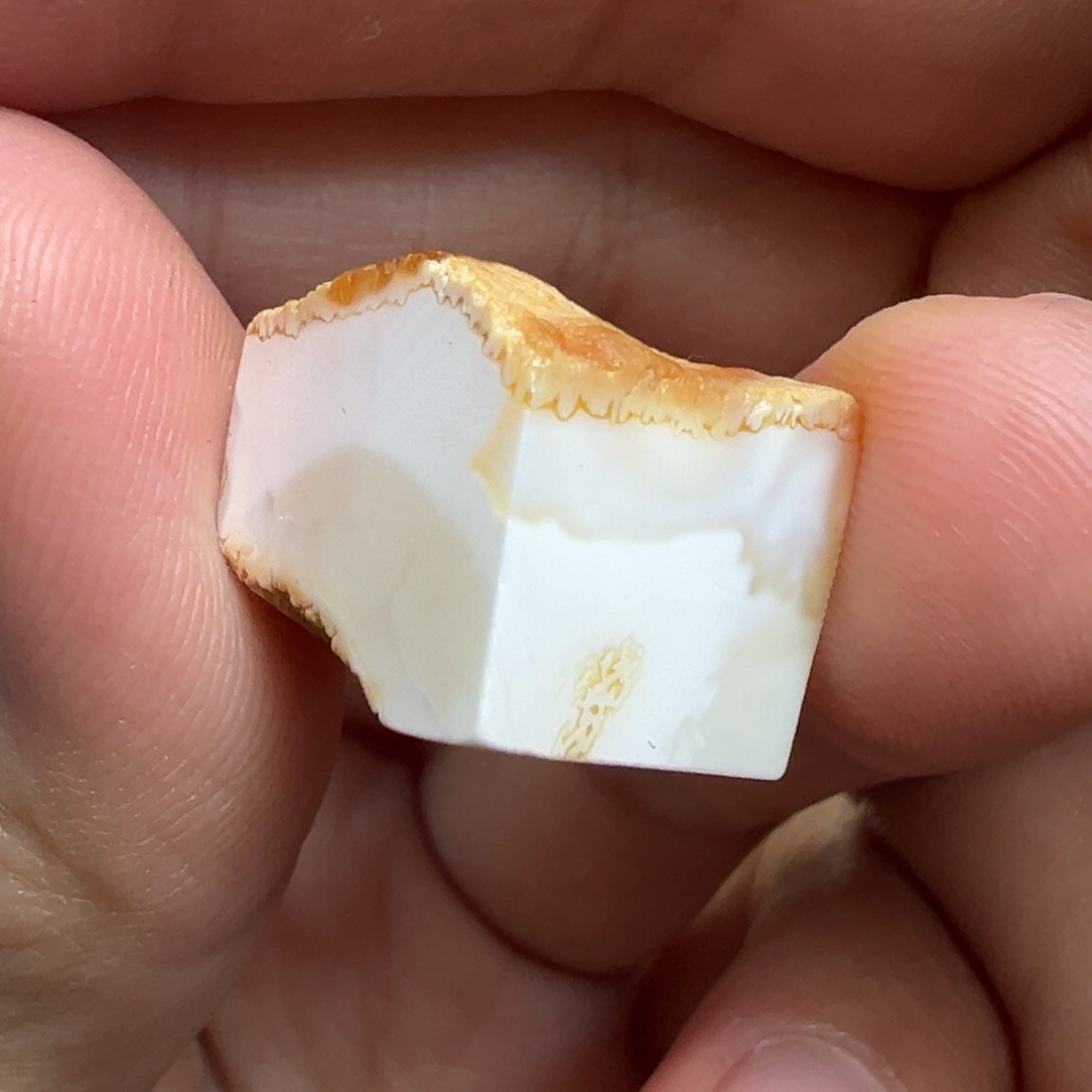 定制琥珀未镶嵌蜜蜡