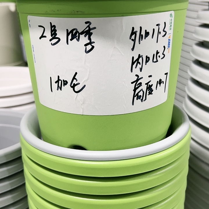 特价2号口17高14白色10只无托