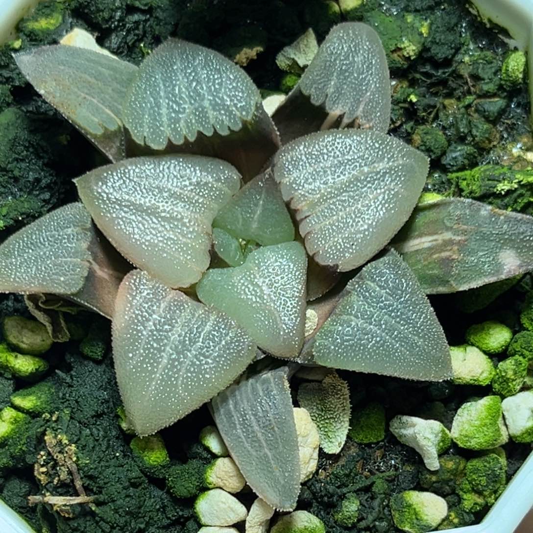 恭喜发财大吉大利0400