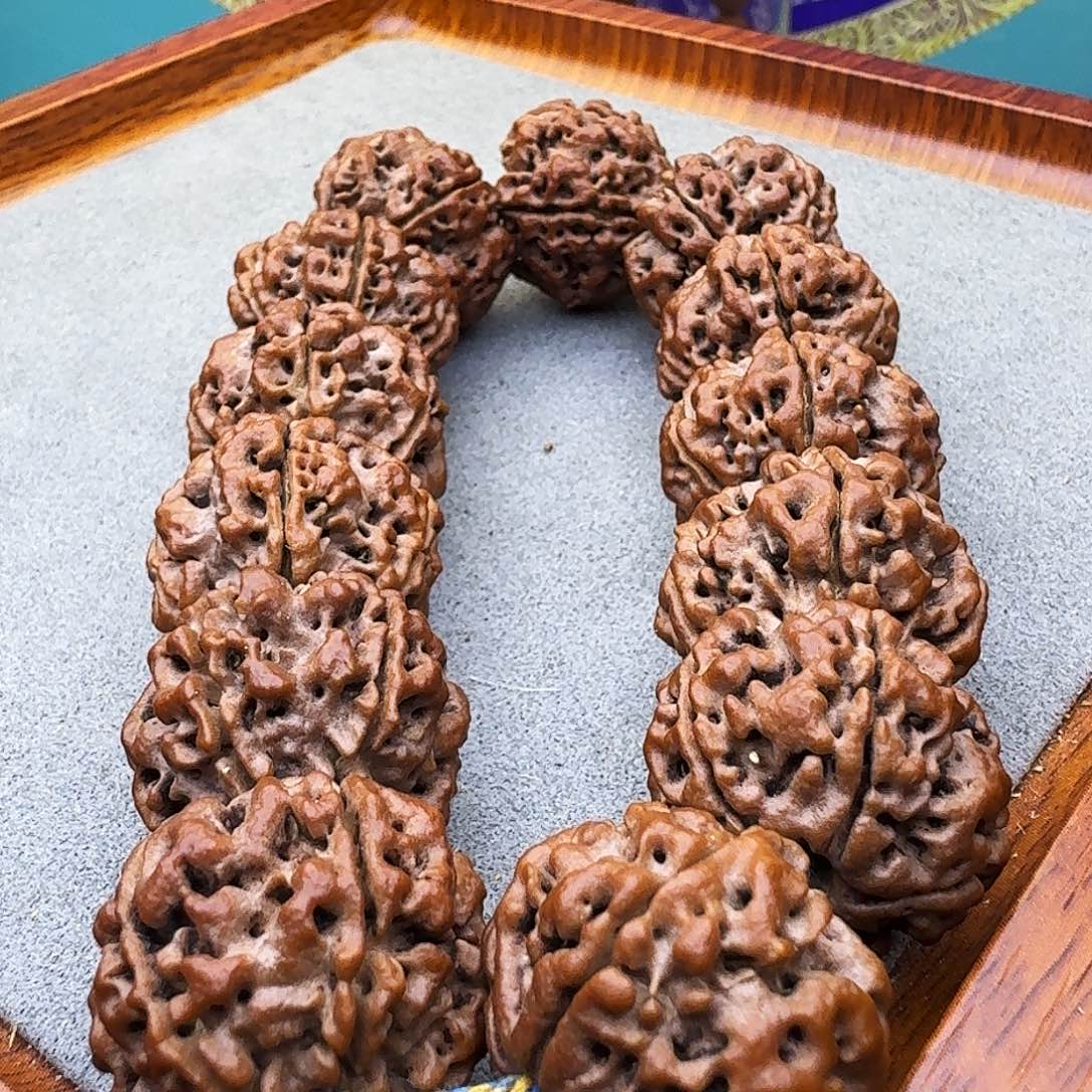 金刚菩提手串平头大粗筋