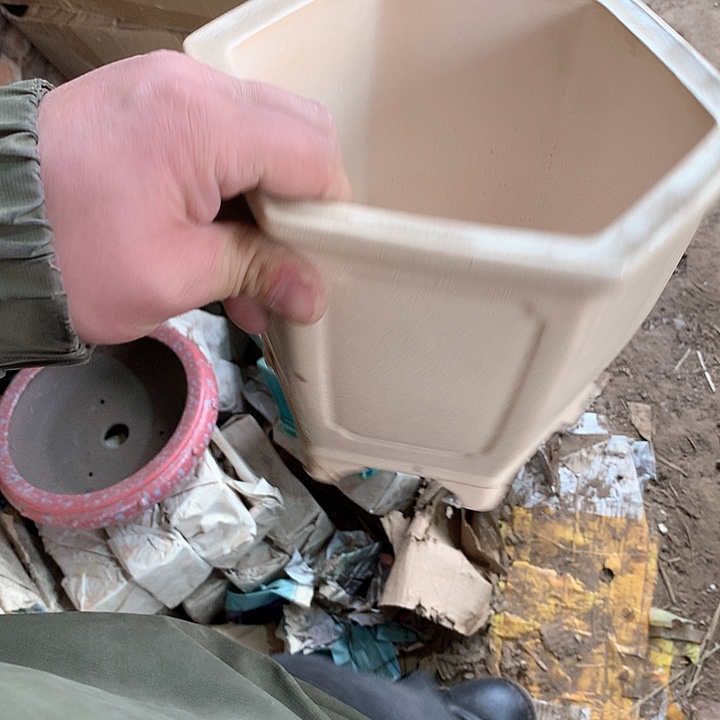 紫砂哈哈真的是太给力太火爆了