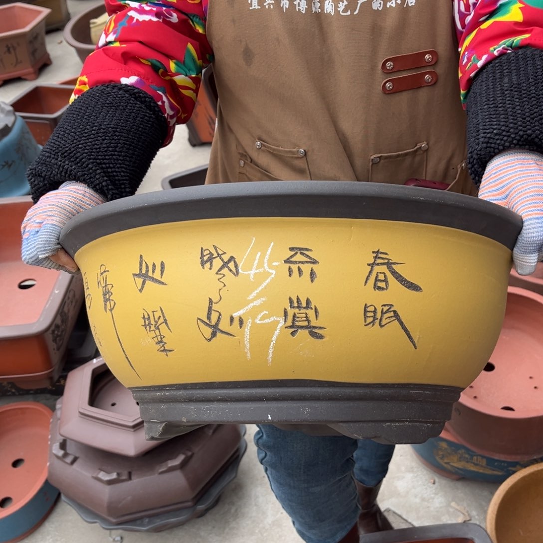 紫砂花盆盆景艺术