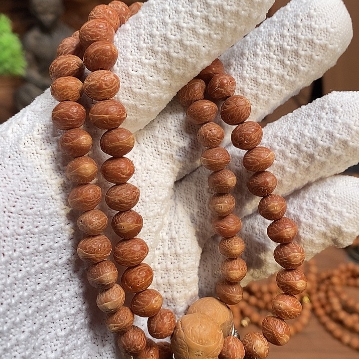 手串凤眼菩提酸枣核