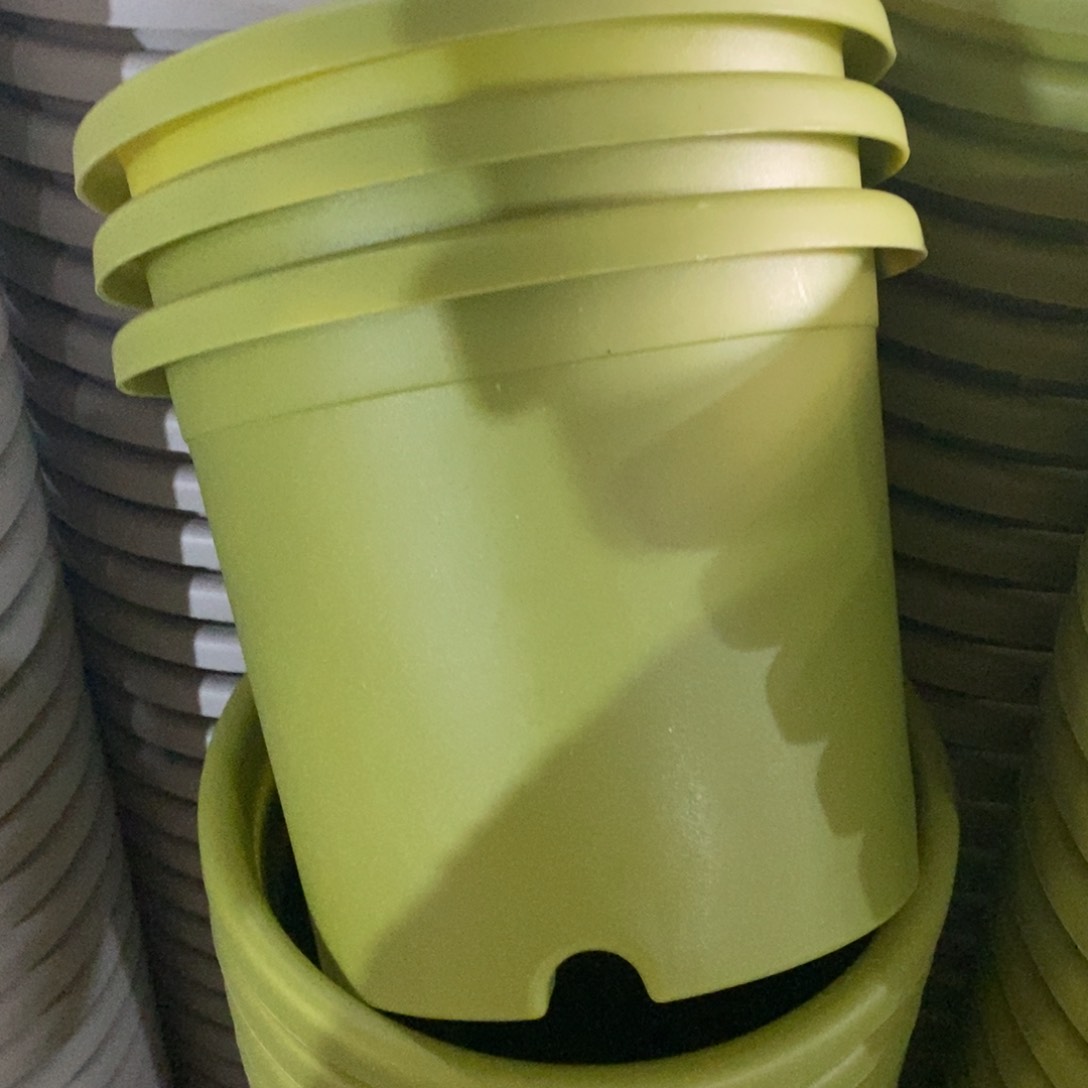 树脂特价3#无拖果绿10