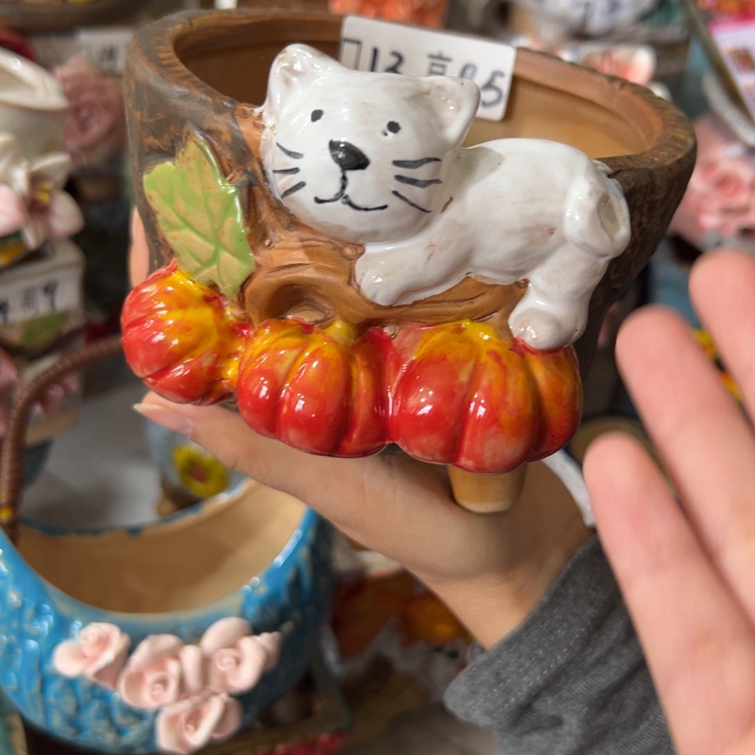 花盆，满20发货爱退款拉黑
