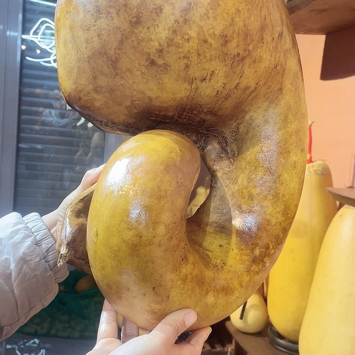 老**老精品大宽筋异形