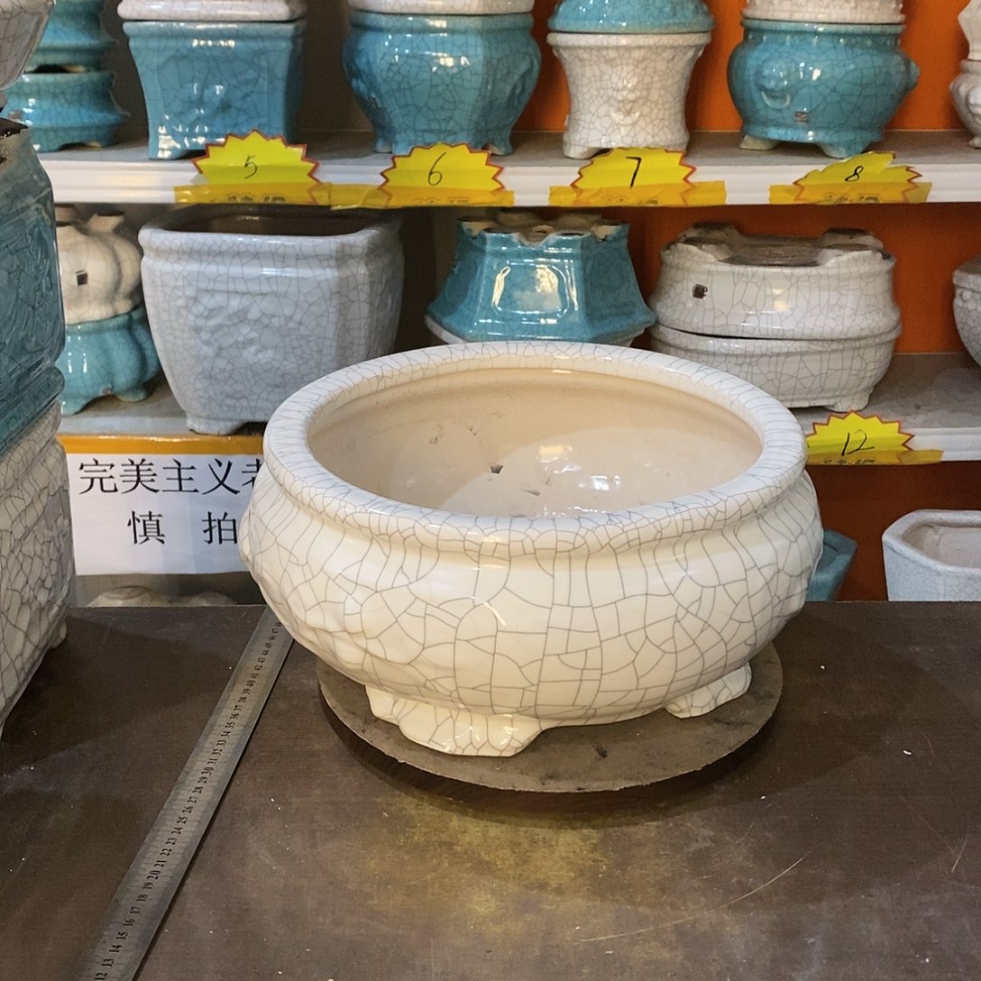 ^****^花盆里的小猫咪