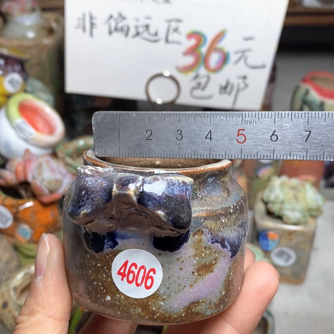 花盆拍5个送一个小礼物