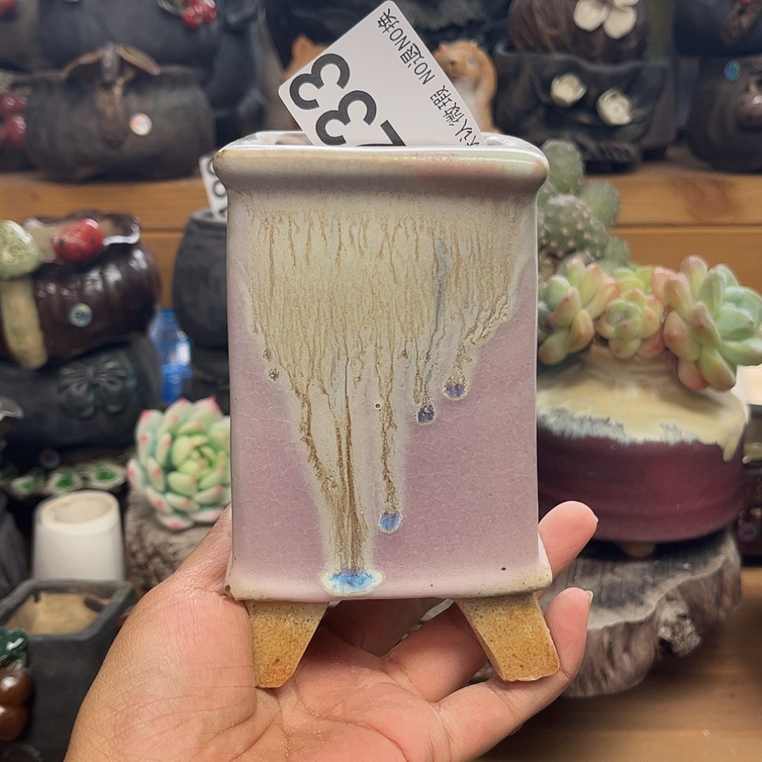 你们怎么看这么久233