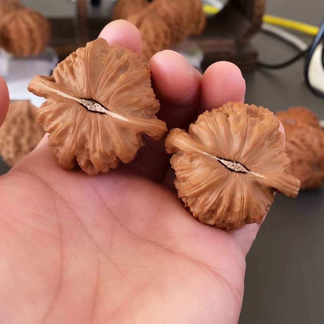 把件文玩核桃闷白红皮果骨质棒