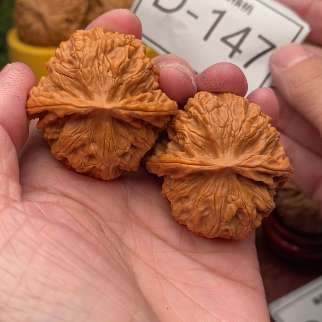 文玩核桃把件苹果40