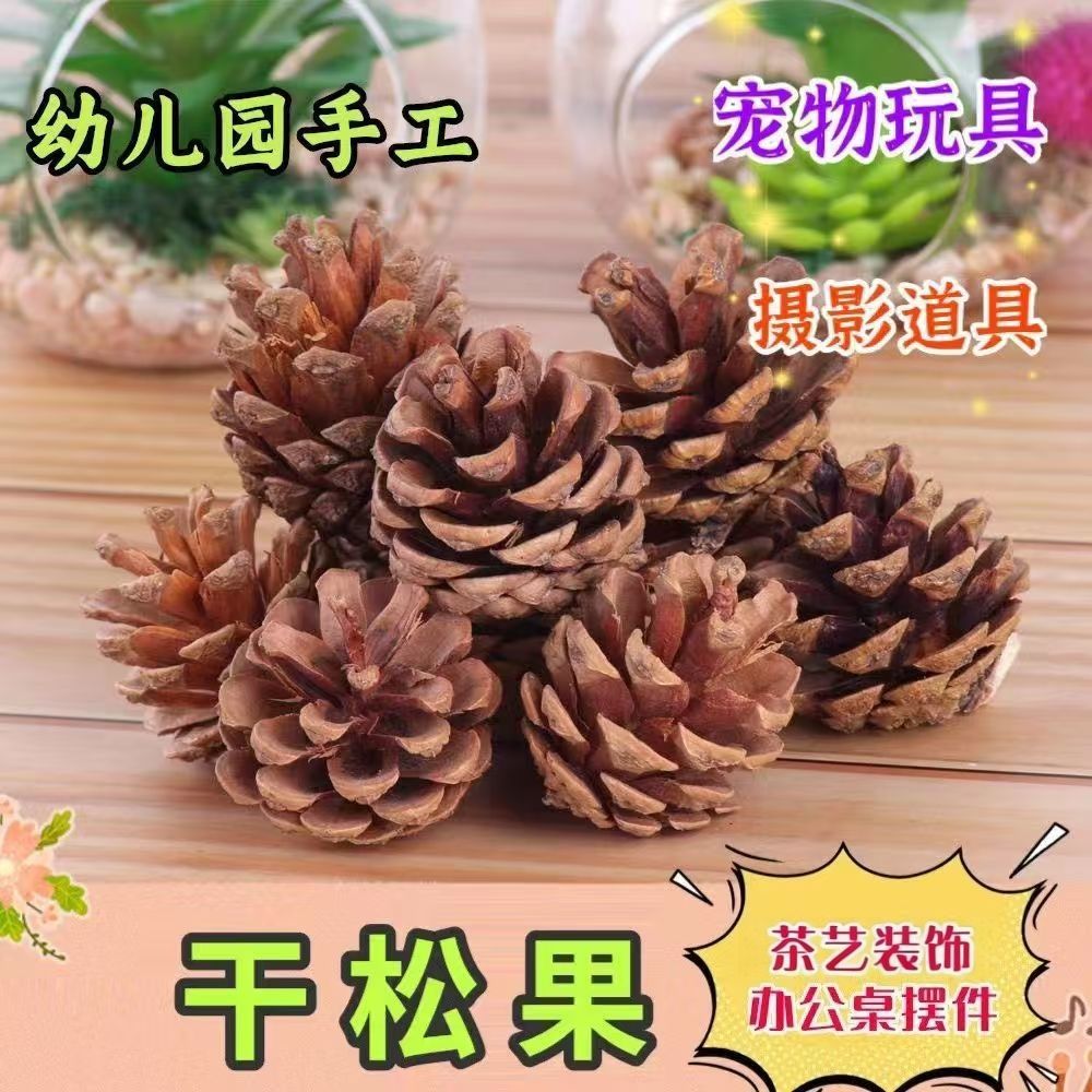 天然松果干花创意手工装饰品节日桌面摆放高级