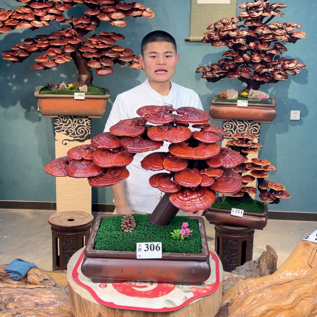 无花朵68868386868668