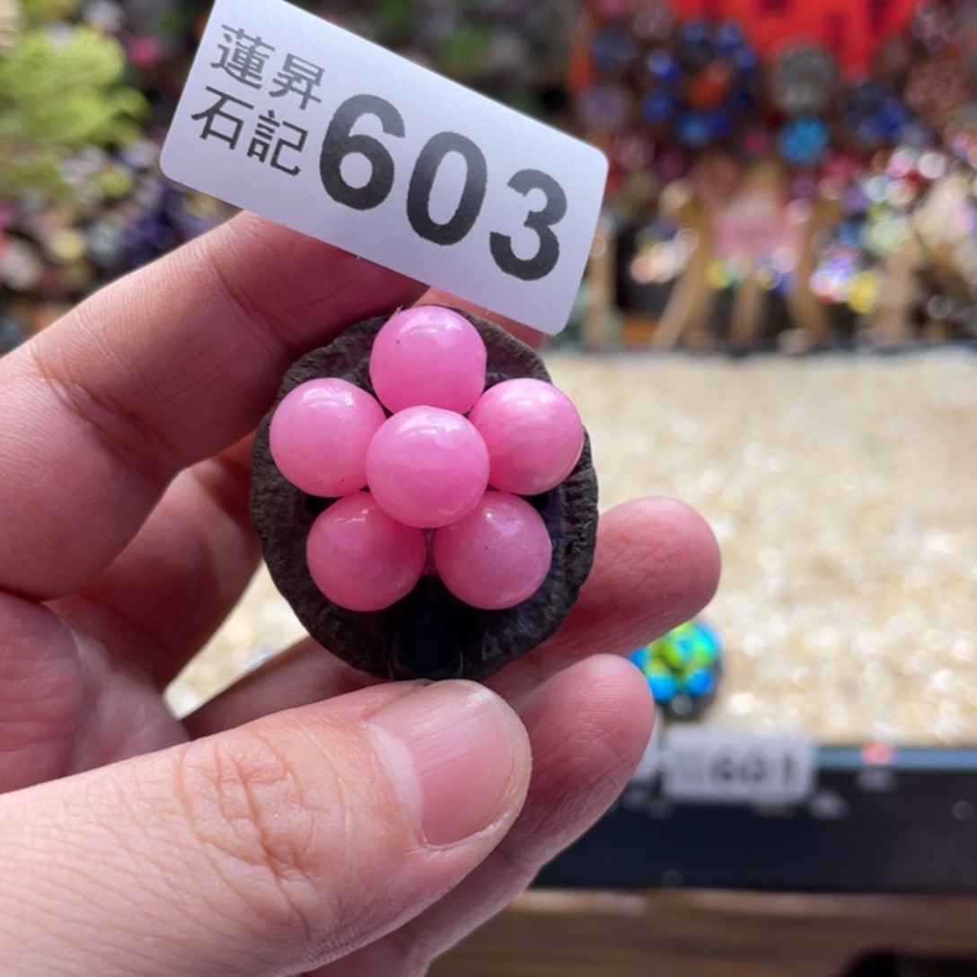 核桃木/黑胡桃（胡桃木）603