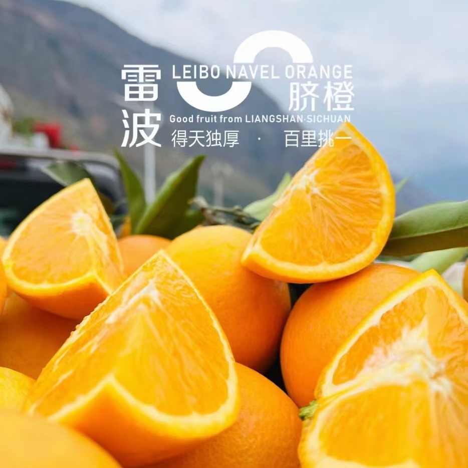 四川正宗雷波脐橙四川省