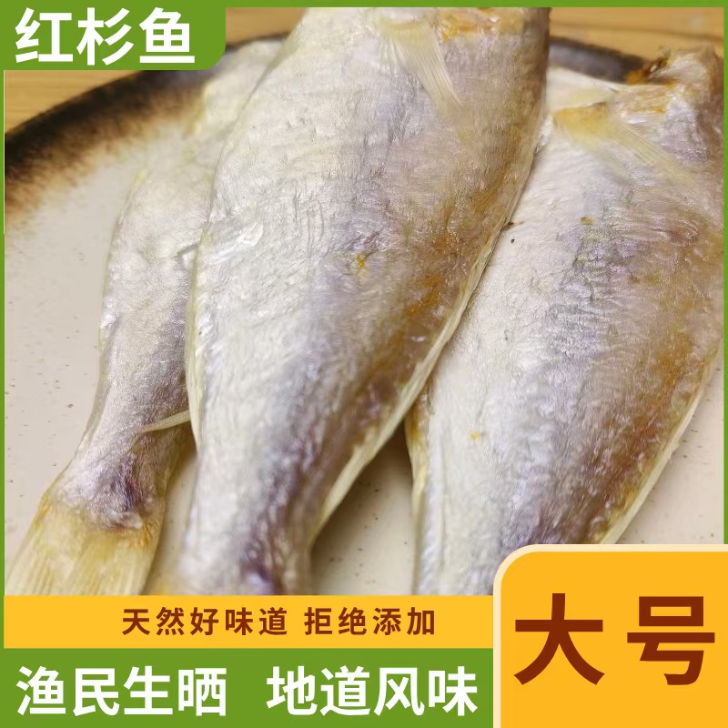 北海本地渔民自晒红杉鱼海产干货香煎红烧美味咸鱼红三鱼干下粥