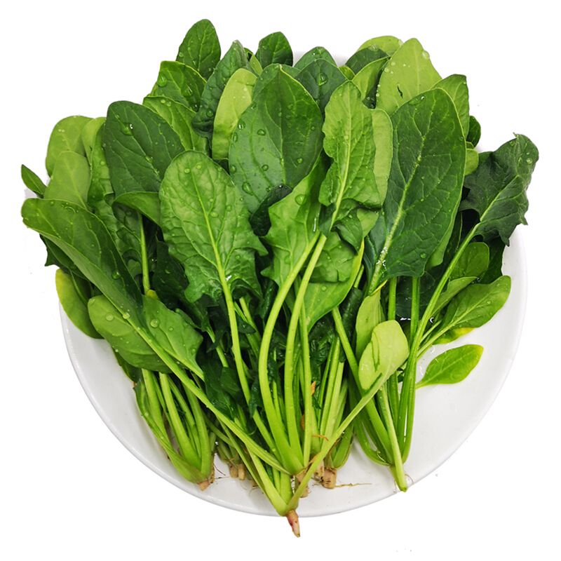 新鲜菠菜500g