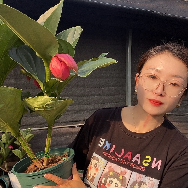 微****哈哈我也是很喜欢的呢我
