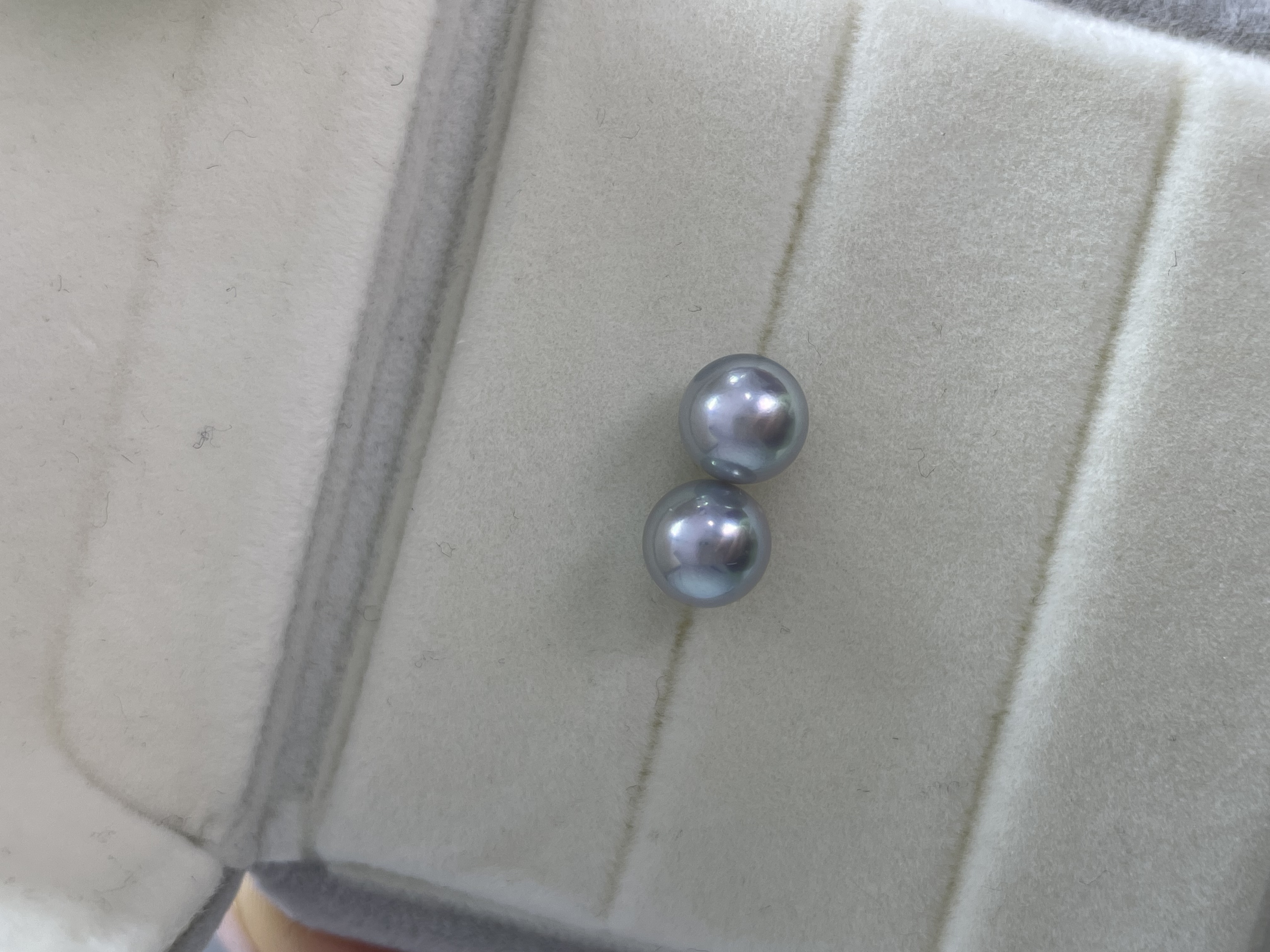 喷香福利款天然极光海水耳钉灰珠akoya6.5-7mm银针高级感法式经典