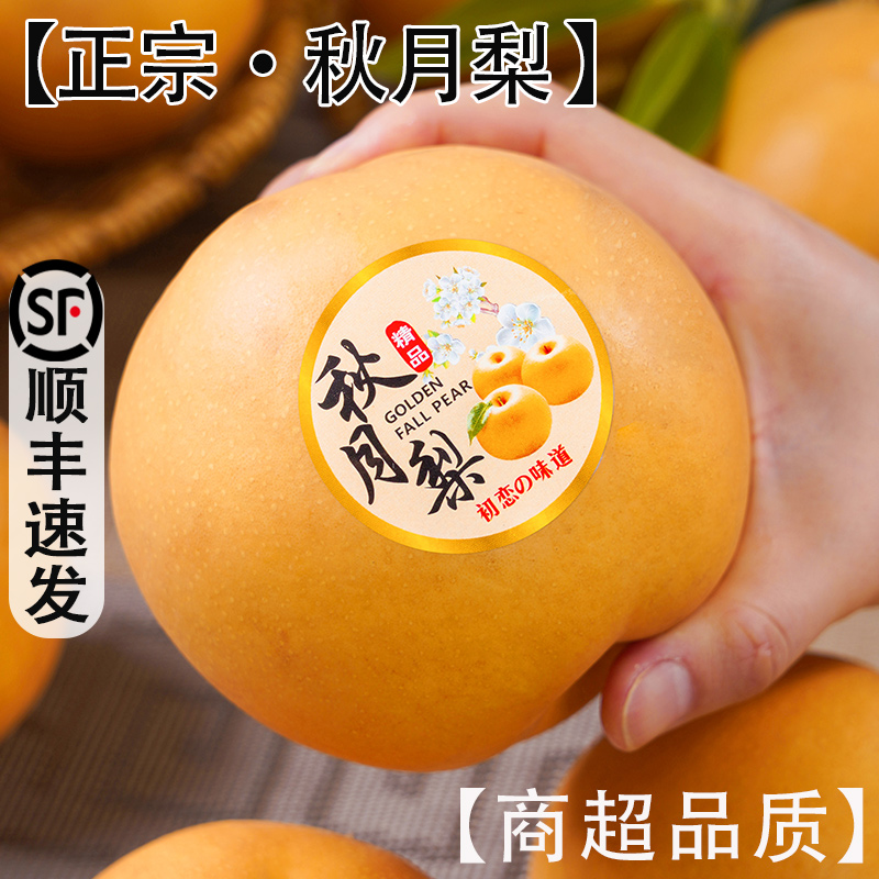 顺丰正宗秋月梨中秋水果新鲜现摘现发脆甜多汁当季水果维C