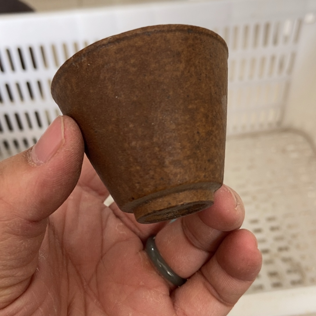 直播链接直播链接