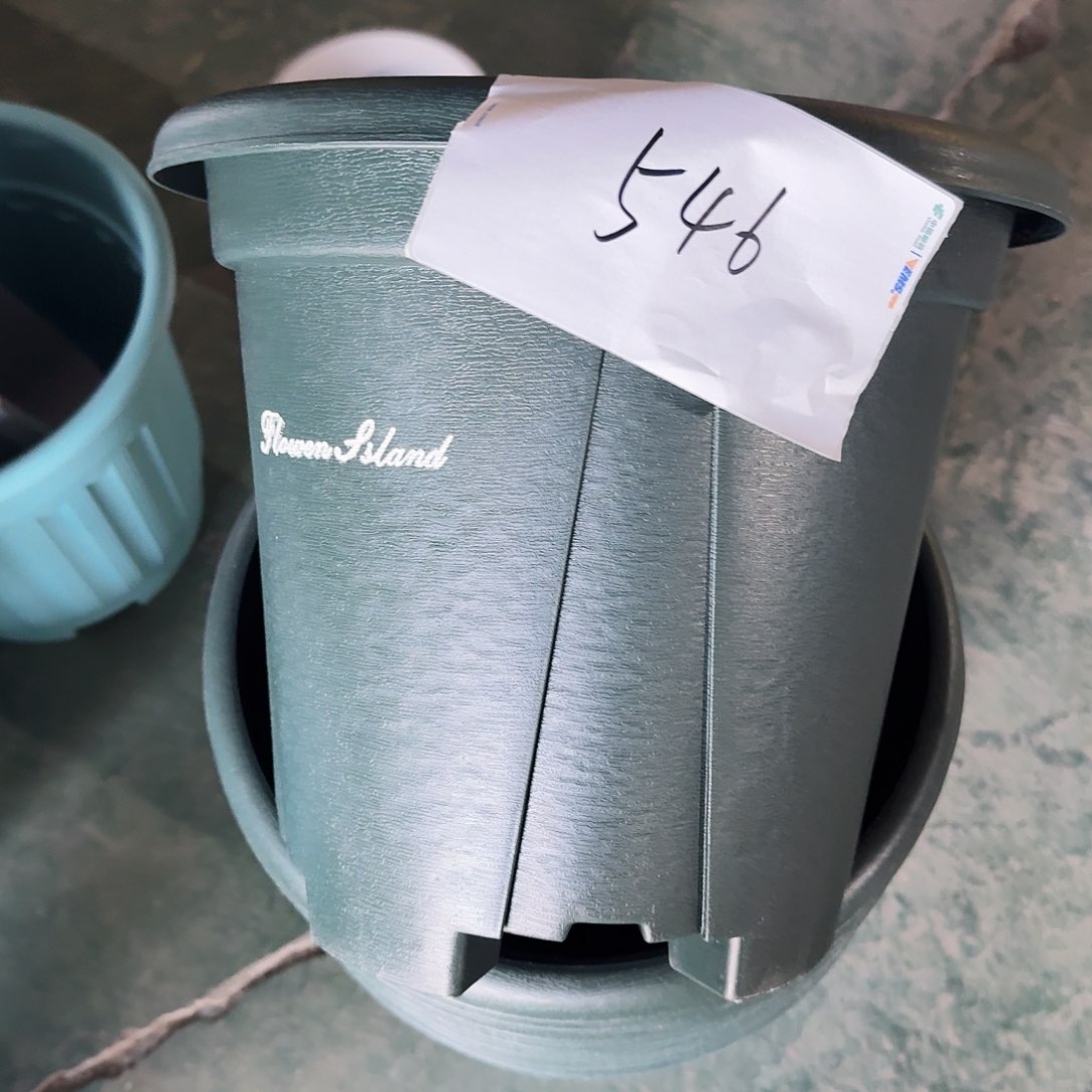 编号546微瑕-5个微瑕