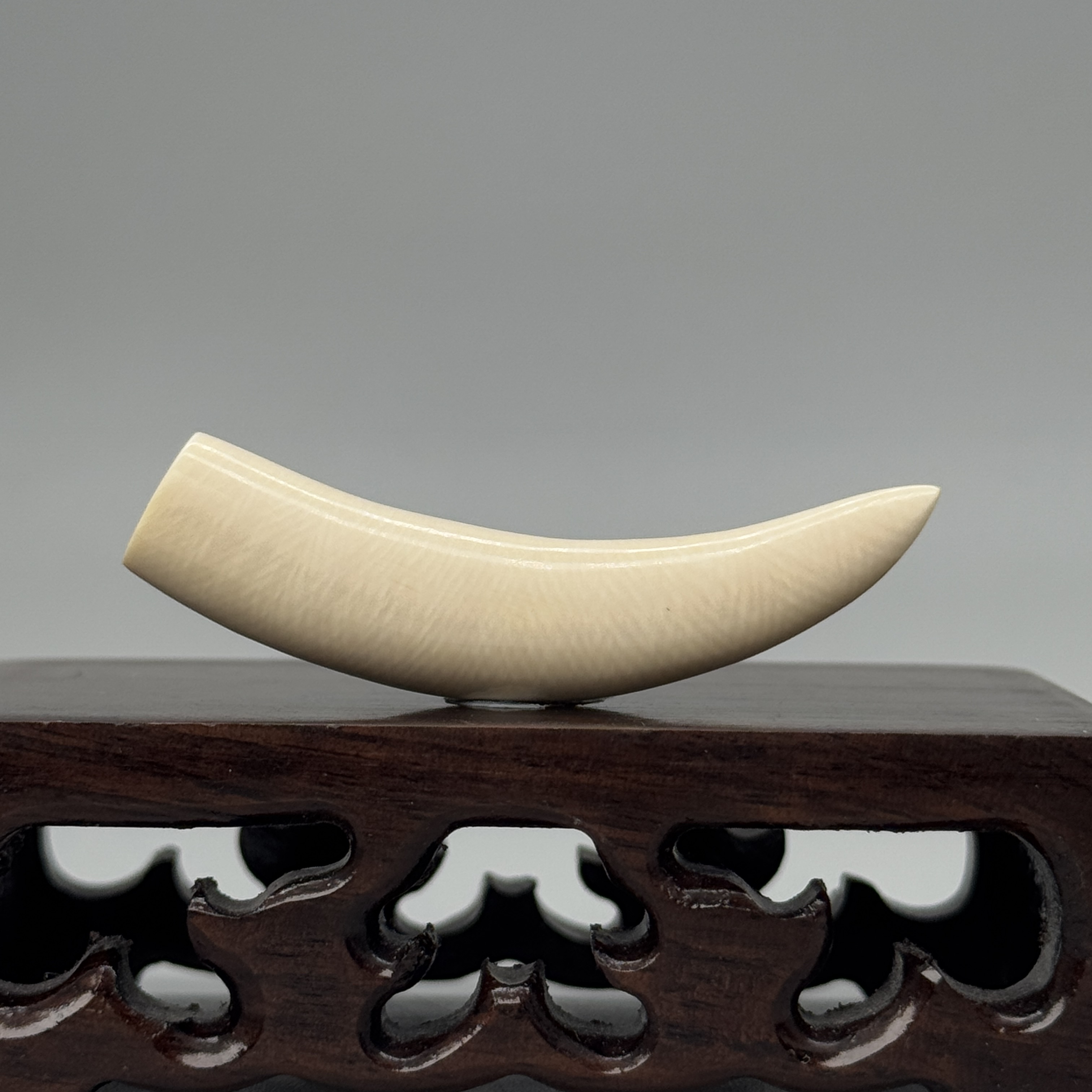 DEZHI/德志5.3g全肉牙尖50*10*10mm猛犸牙吊坠已打孔配吊坠绳K34