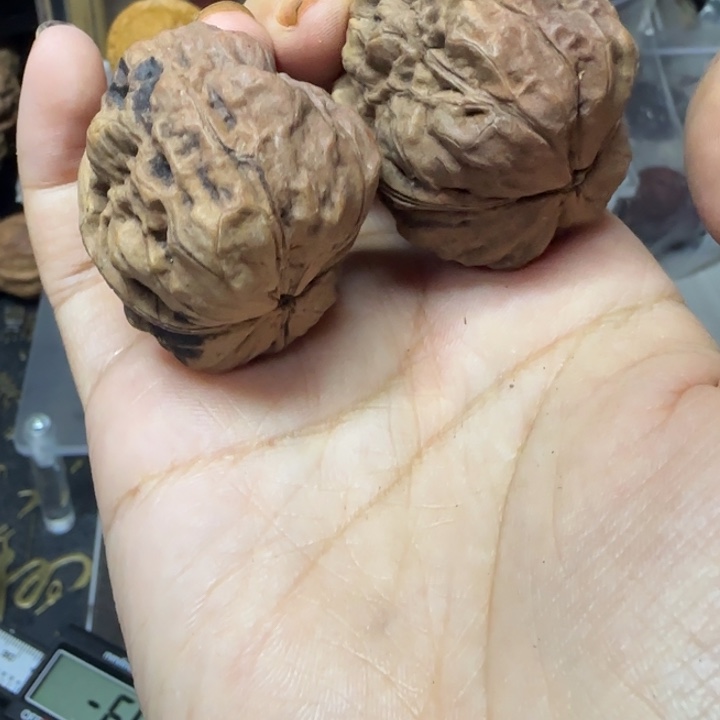 超***想吊坠文玩核桃老树疙瘩包