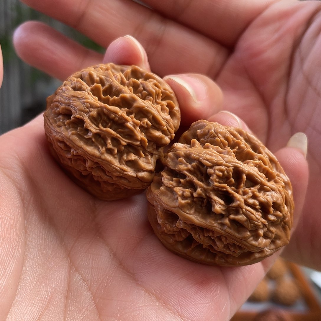 桃核把件37×38尺全品蓟县红马蹄CN01179已打底