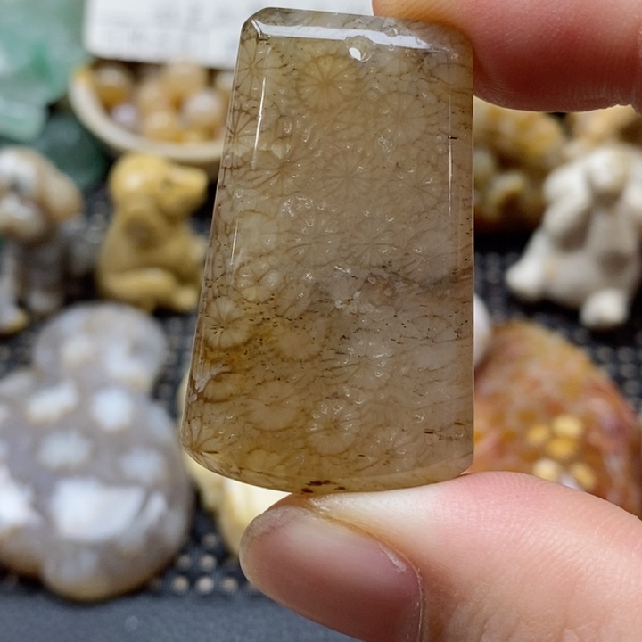 硅化珊瑚（珊瑚玉）颈饰未镶嵌有瑕