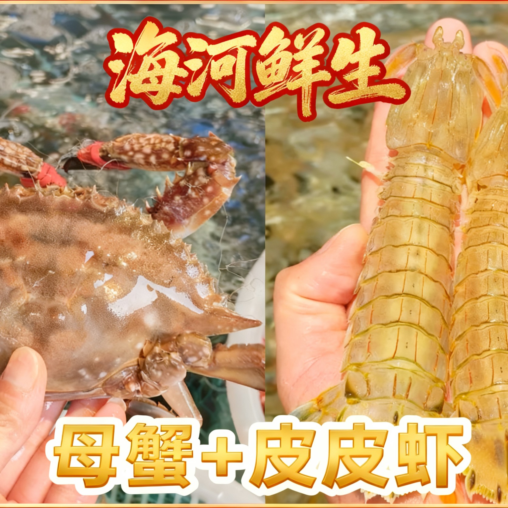 【肉母+皮皮虾】【保鲜不保活】肉母+皮皮虾混3-5斤（单只3-5两蟹）