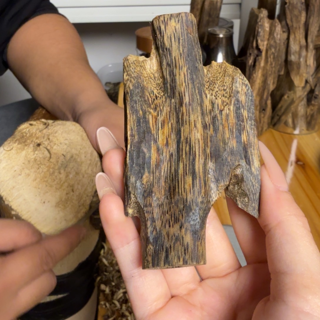 沉香白奇虫漏20克