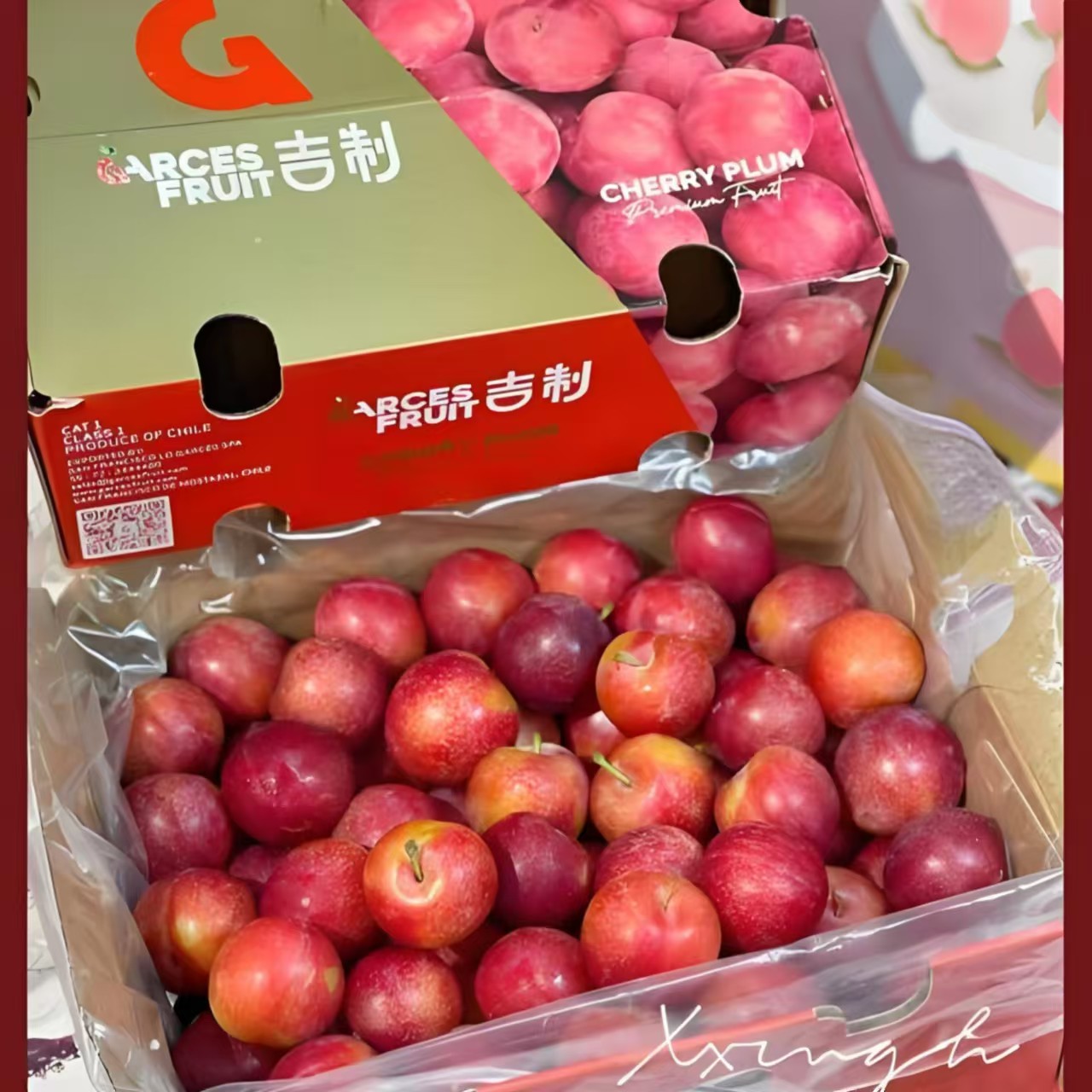 【樱桃李】2J-5J智利进口樱桃李智利新鲜水果孕妇水果当季包邮到家