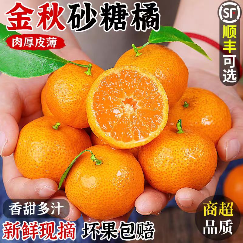 【顺丰包邮】金秋砂糖橘新鲜水果当季沙糖桔蜜橘桔子新鲜时令水果