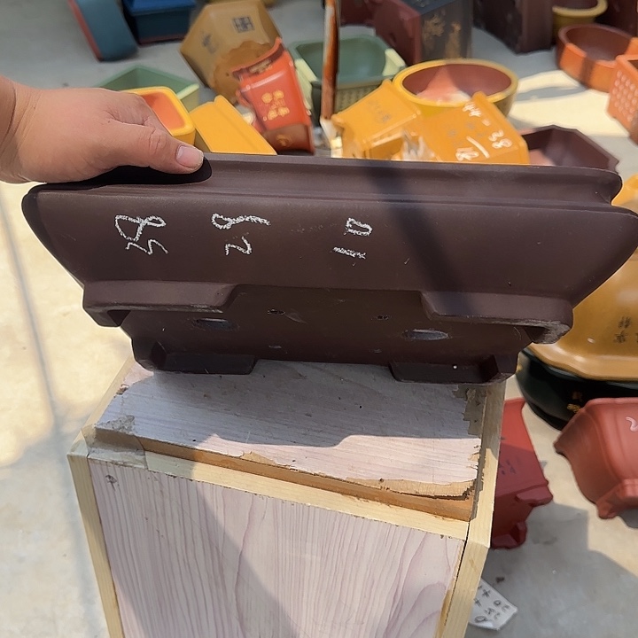 紫砂花盆这是我第一