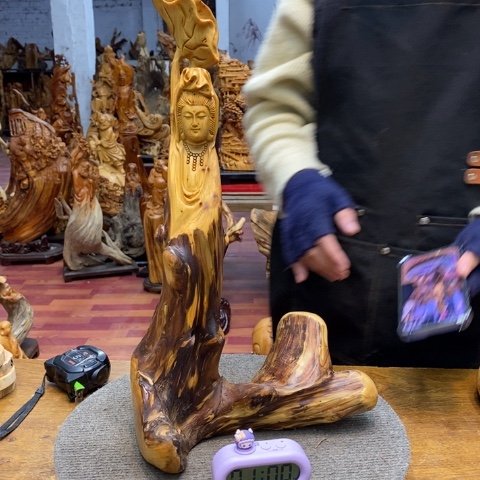 柏木（崖柏）種****慧太行崖柏陈化料摆件