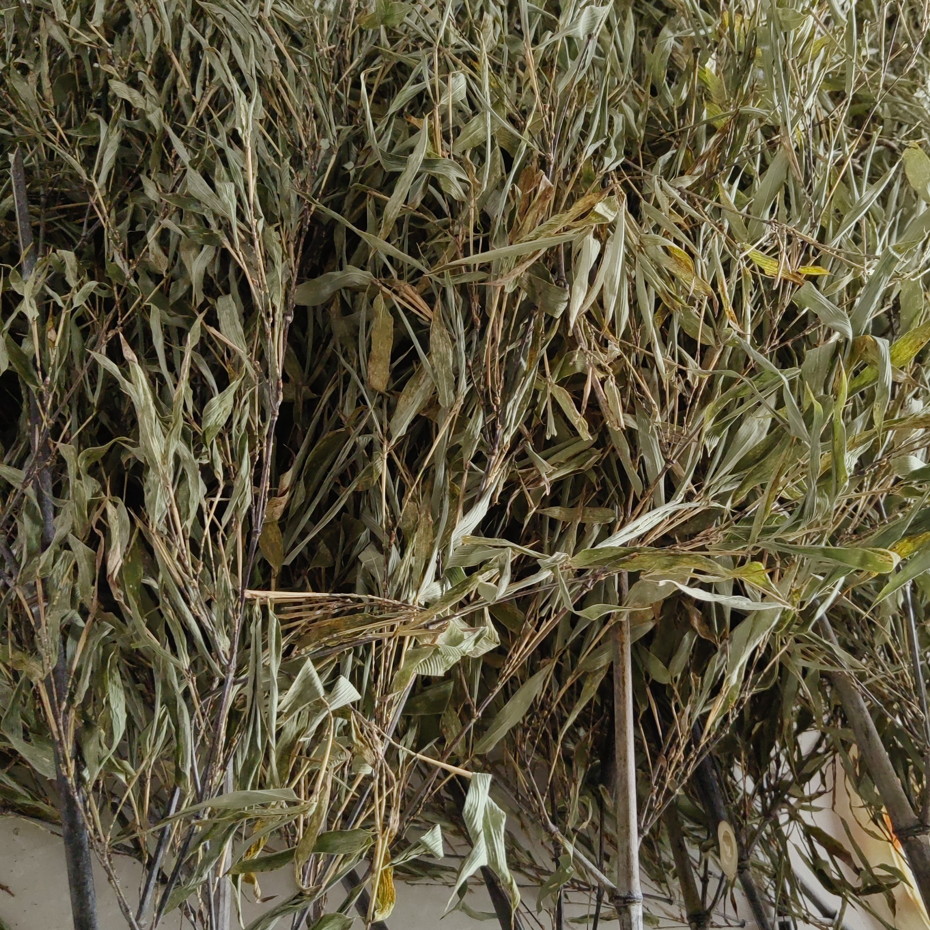 国风龙挂香手工打造竹制龙挂香架