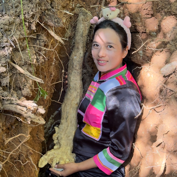 ༺云山药༻ 500克一斤 原生滋补山药 一物一拍