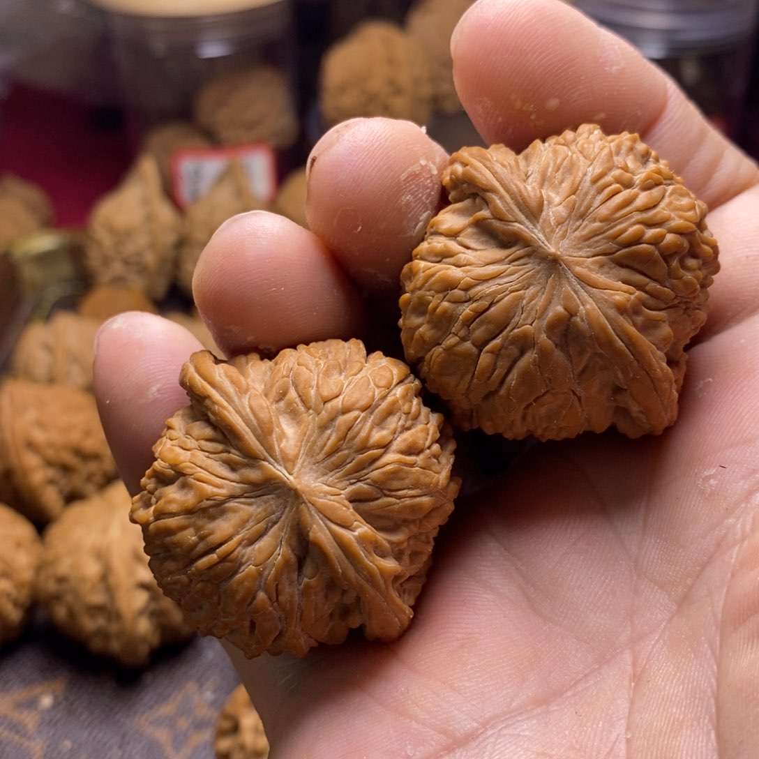 核桃手串/手链山地正磨40毫米